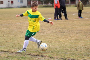 开云体育下载-VAR的利弊:它真的让比赛更公平了吗?,var和var